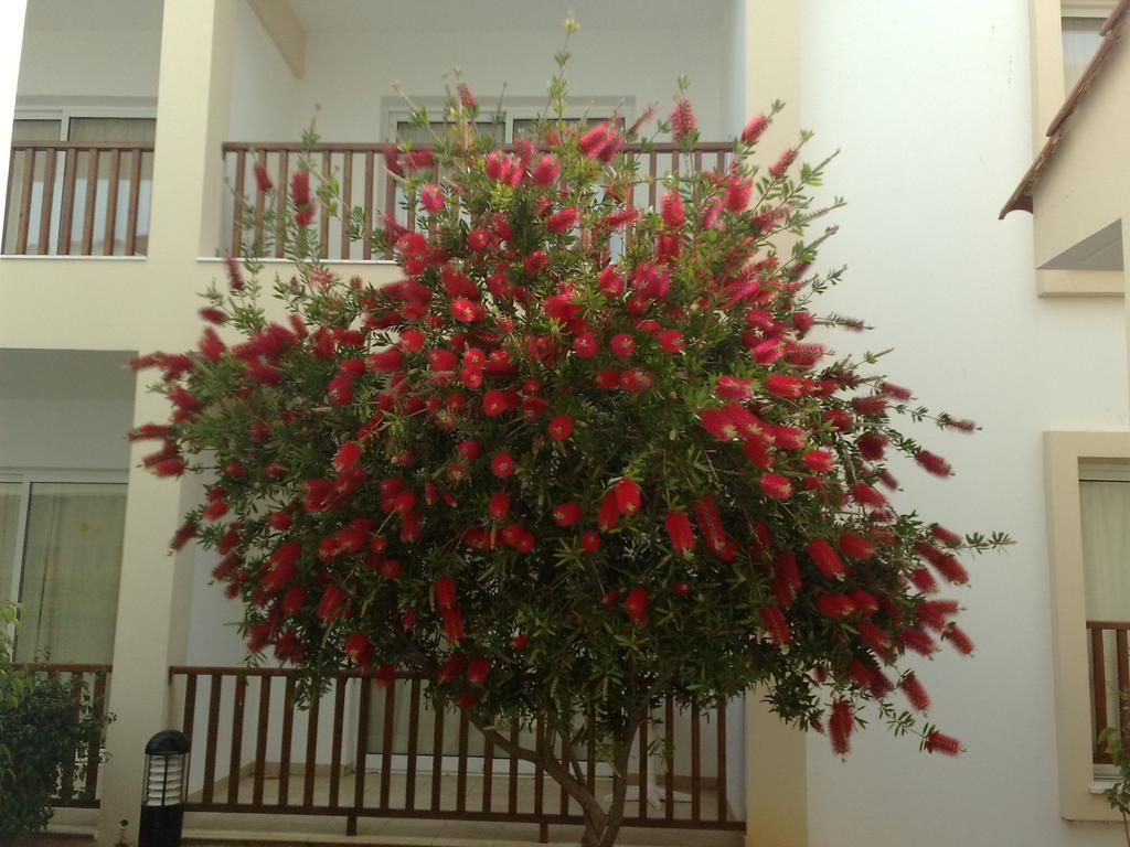 Aktea Beach Village ไอยานาปา ภายนอก รูปภาพ